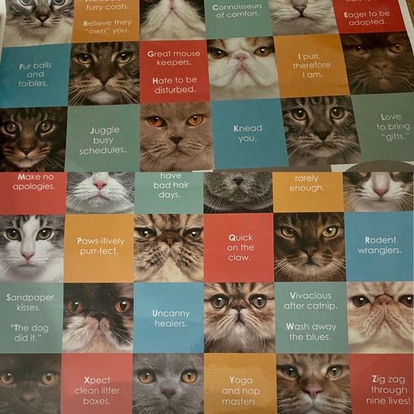 Cute ‘Reasons A-Z Why We Love Cats’ Laminated Poster 22.5” x 34” - Picture 2 of 4